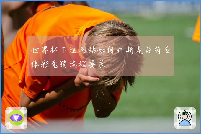 世界杯下注网站如何判断是否符合体彩竞猜流程要求