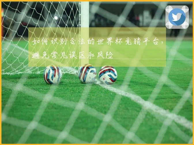 如何识别合法的世界杯竞猜平台，避免常见误区和风险