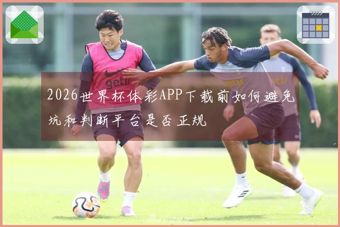 2026世界杯体彩APP下载前如何避免坑和判断平台是否正规