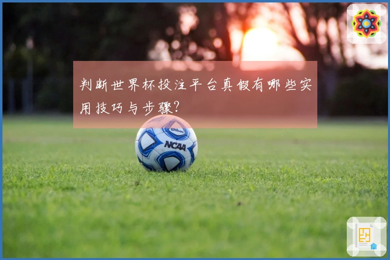 判断世界杯投注平台真假有哪些实用技巧与步骤？