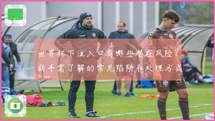 世界杯下注入口有哪些潜在风险？新手需了解的常见陷阱和处理方式