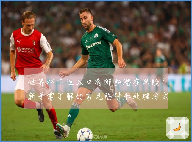 世界杯下注入口有哪些潜在风险？新手需了解的常见陷阱和处理方式